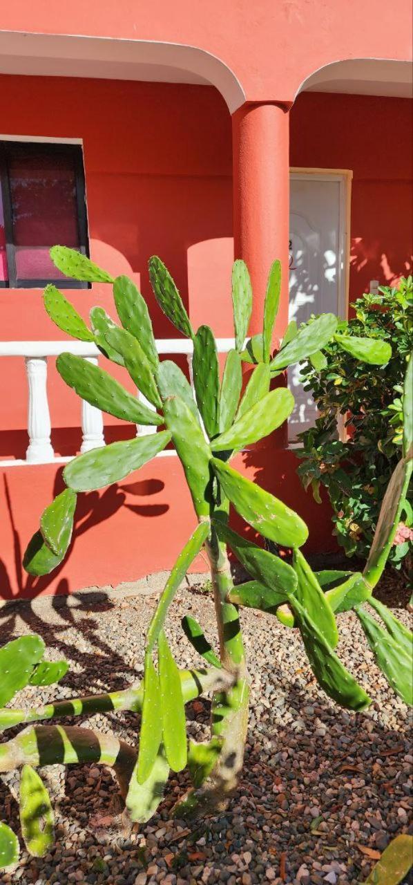 Villa Kiki Ensenada Punta Rucia Zewnętrze zdjęcie